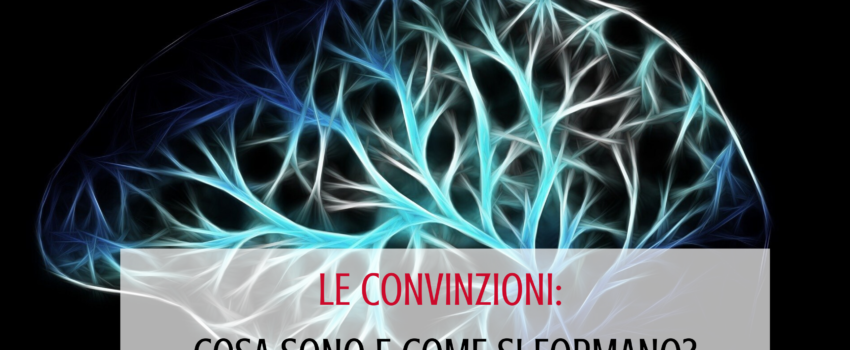 Convinzioni Marina Ionescu efnlp